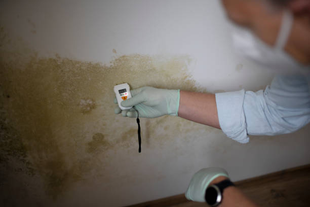 Crawl Space Mold Removal in Glastonbury Center, CT