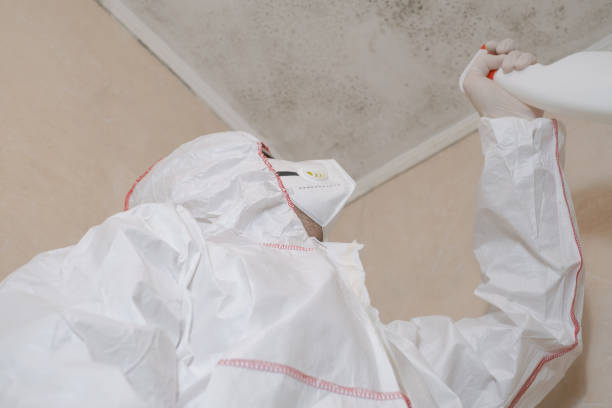 Best Toxic Mold Removal  in Glastonbury Center, CT
