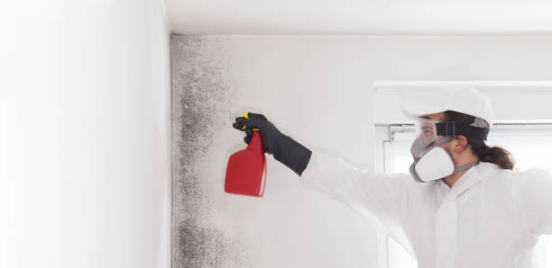 Best Emergency Mold Removal  in Glastonbury Center, CT